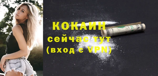 дурь Арсеньев